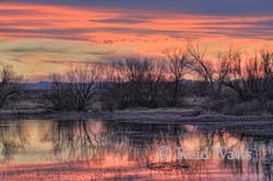 "Sandhills of Bernardo"