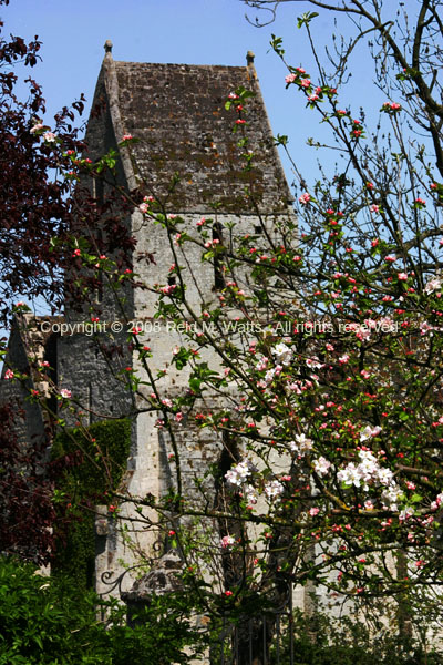 Norman Church