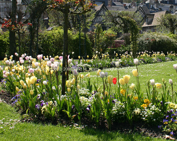 Spring In Normandy