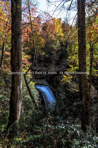 Looking Glass Falls Framed In Fall Color - NC