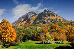 Grandfather Mountain