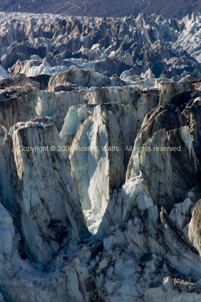 John Hopkins Glacier