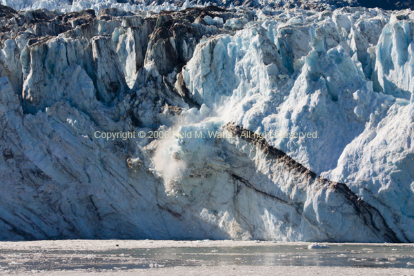 John Hopkins Glacier Calving