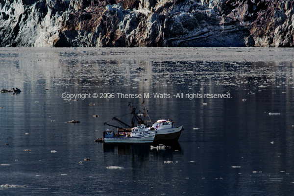 Boats in Johns Hopkins Inlet #2