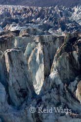 Johns Hopkins Glacier, Glacier Bay NP