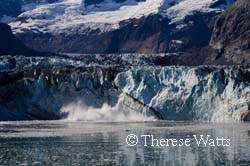 Calving Glacier