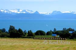 Alaskan Harvest - Farm near Homer, Alaska