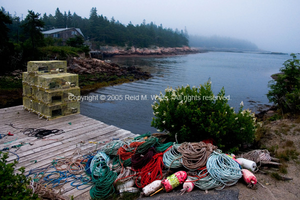 Maine Morning