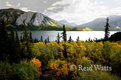 Alpine Splendour, Yukon