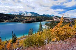 The Shores of Emerald Lake, Yukon