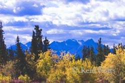 Beyond the Gold, Yukon