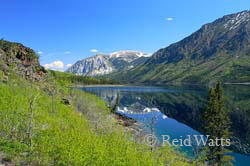 North Lake Tutshi