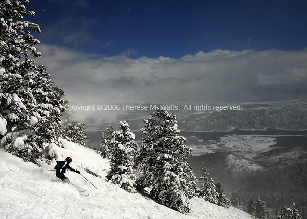 Snowy Splendour