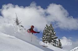 Alta Powderhound