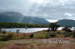 A Ticket To Paradise - Tierra del Fuego NP, Argentina