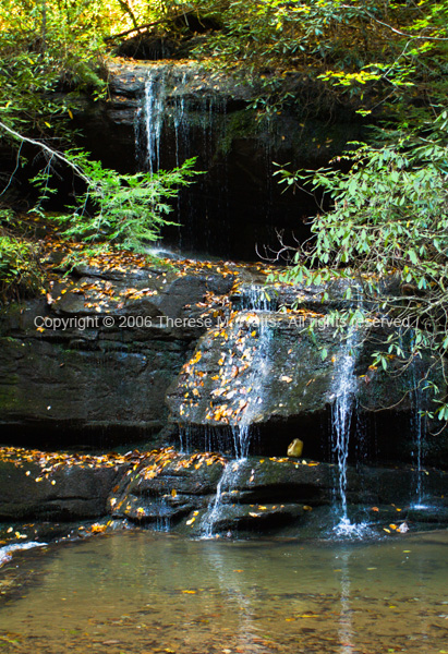 On The Way To Bradley Falls