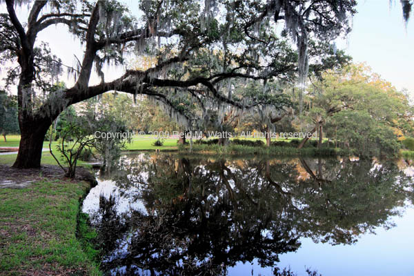 Reflecting Pond