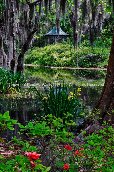 Magnolia Gazebo