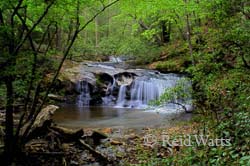 Waterfall on Avery Creek