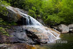 "Spring In The Carolinas" features spring flowers, waterfalls, and scenes fron the mountains of North Carolina.  waterfalls, trillium, ferns