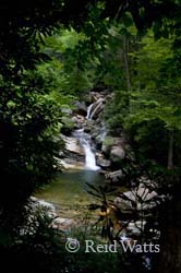 Wide view of Skinny Dip Falls, NC