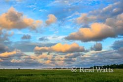 Lowcountry - South Carolina