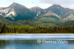 Romance - Two arctic loons and a lake