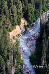 A River Runs Through It - Fitzsimmons Creek, Whistler, BC, Canada