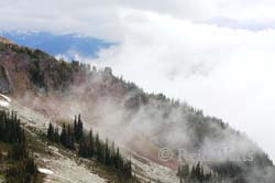 When the Fog Rolls In - Whistler Mountian, BC, Canada