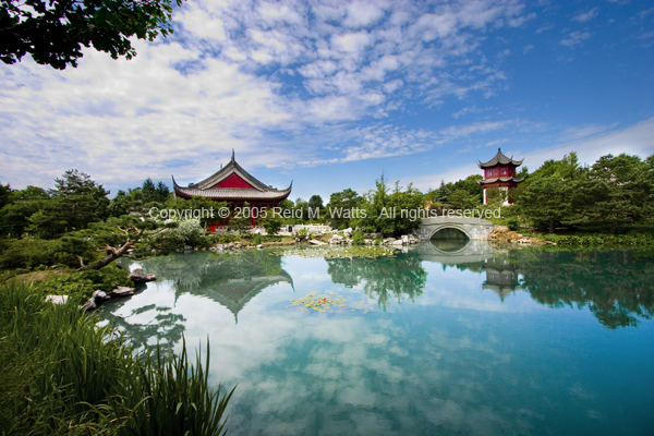 Chinese Garden